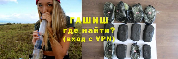 молекула духа Богданович