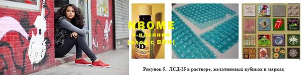 молекула духа Богданович