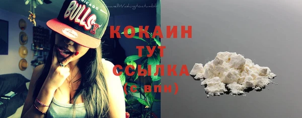 молекула духа Богданович