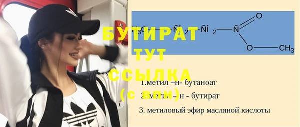 молекула духа Богданович