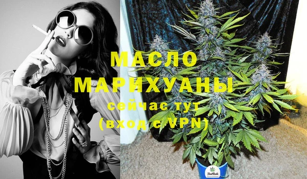 молекула духа Богданович