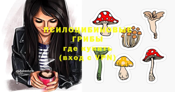 метадон Богородицк