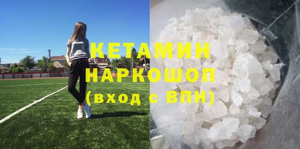 молекула духа Богданович