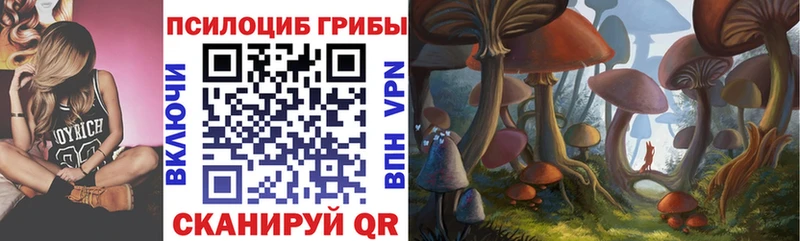 Галлюциногенные грибы прущие грибы  Краснообск 